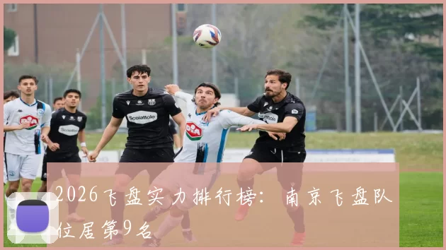2026飞盘实力排行榜：南京飞盘队位居第9名
