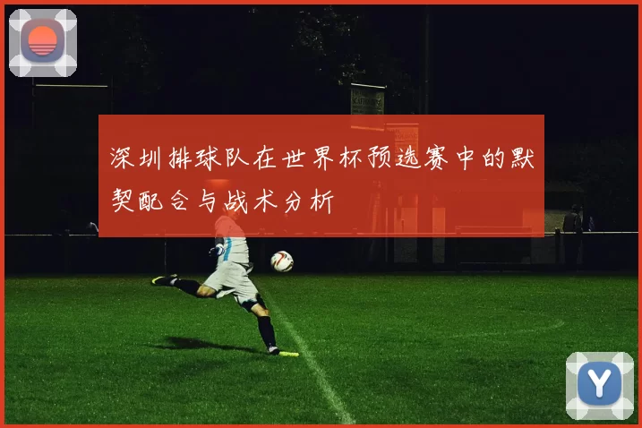 深圳排球队在世界杯预选赛中的默契配合与战术分析