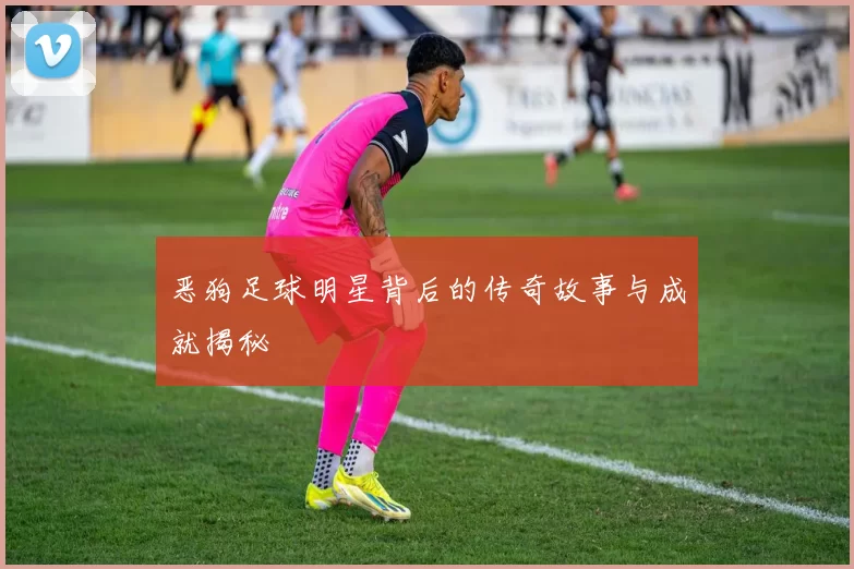 恶狗足球明星背后的传奇故事与成就揭秘